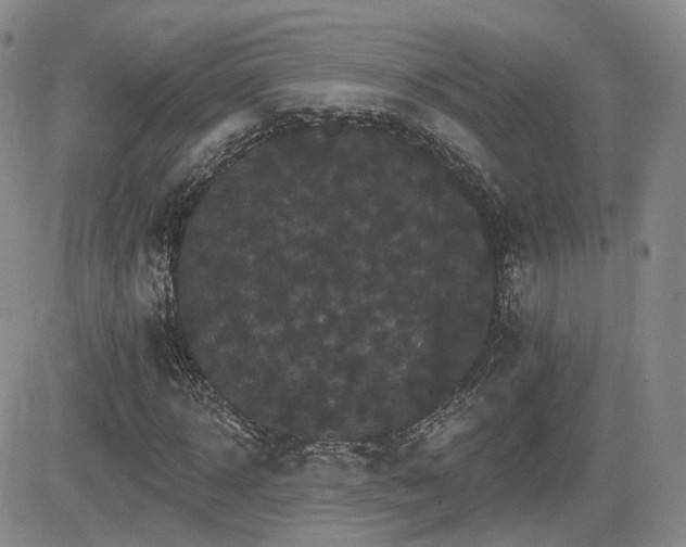 X0000084520918200702231130