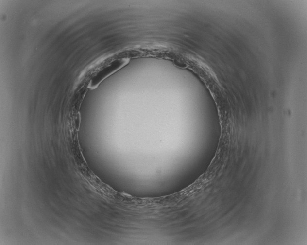 X0000084520920200702231131