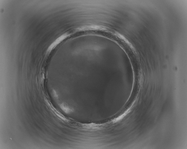 X0000084520921200702231131