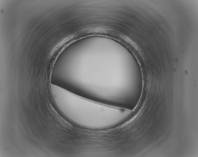 X0000084520922200702231131