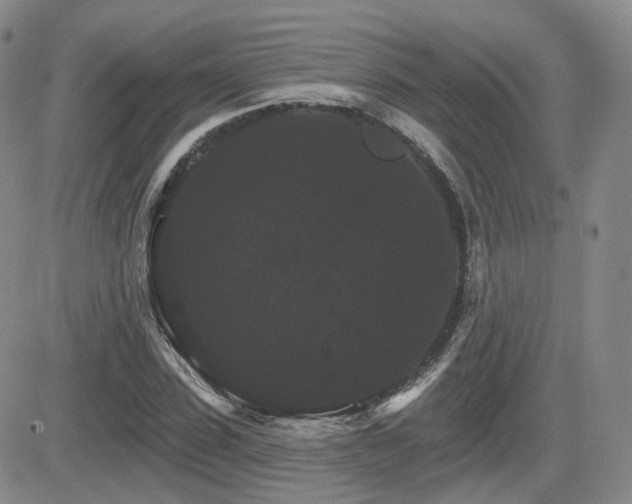 X0000084520923200702231131