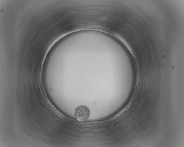 X0000084520924200702231131