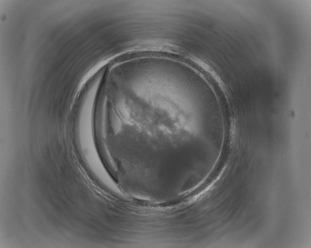 X0000084520925200702231131