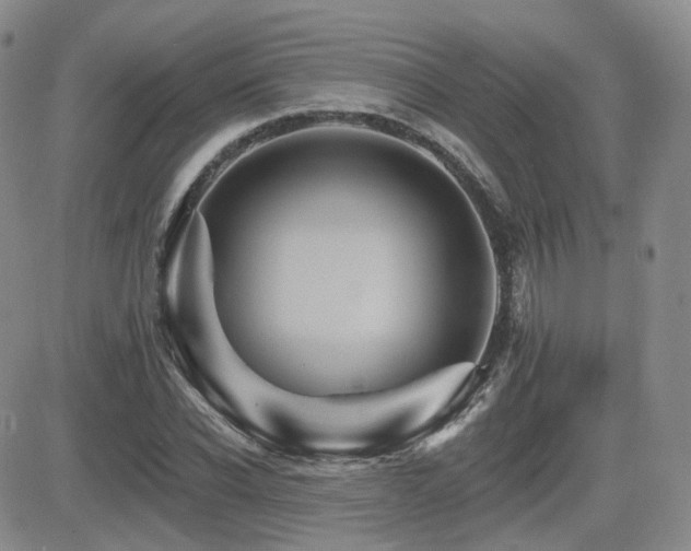 X0000084520926200702231131