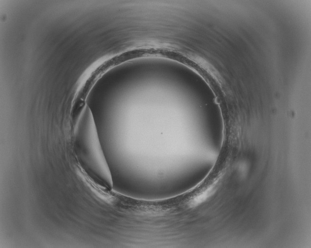 X0000084520927200702231131