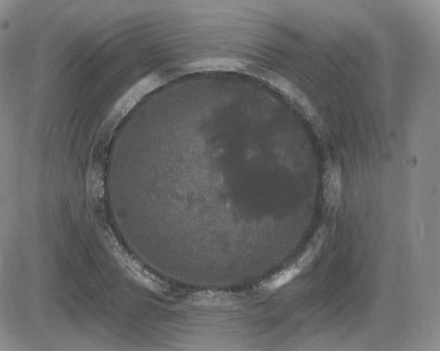 X0000084520929200702231131