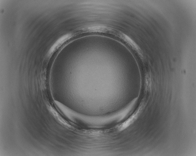 X0000084520930200702231131