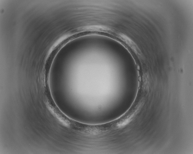 X0000084520931200702231131