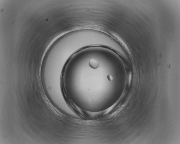 X0000084520932200702231131