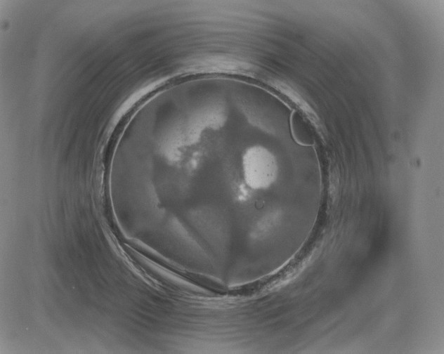 X0000084520933200702231131