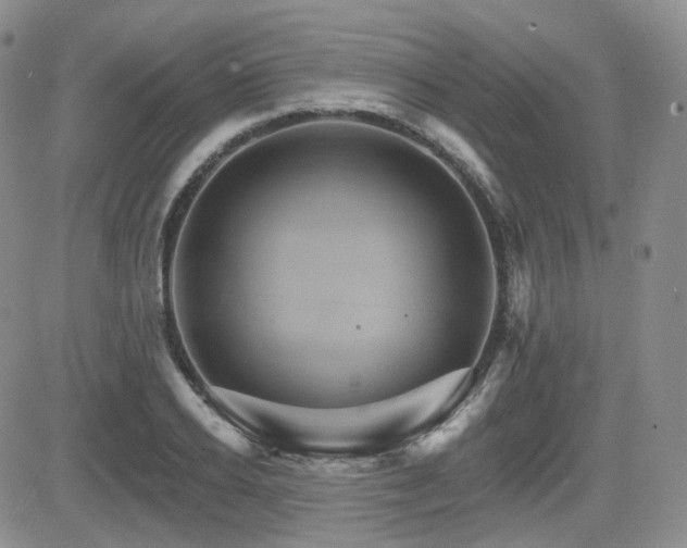 X0000084520934200702231131