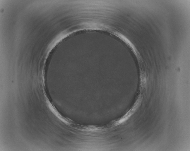 X0000084520935200702231131