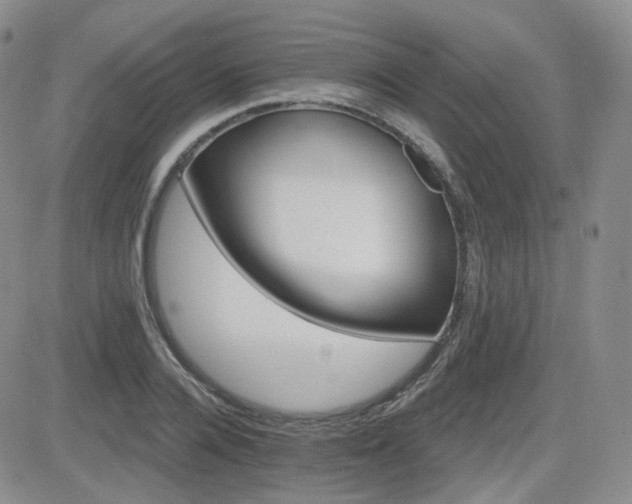 X0000084520936200702231131