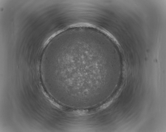 X0000084520937200702231131