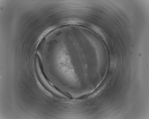 X0000084520938200702231131