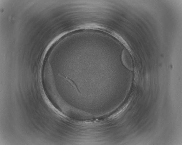 X0000084520939200702231131