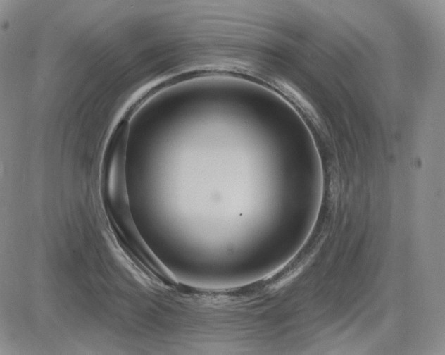 X0000084520940200702231131