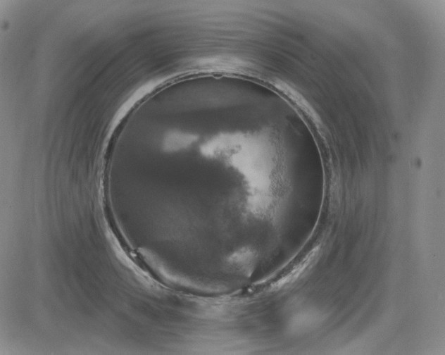 X0000084520941200702231131