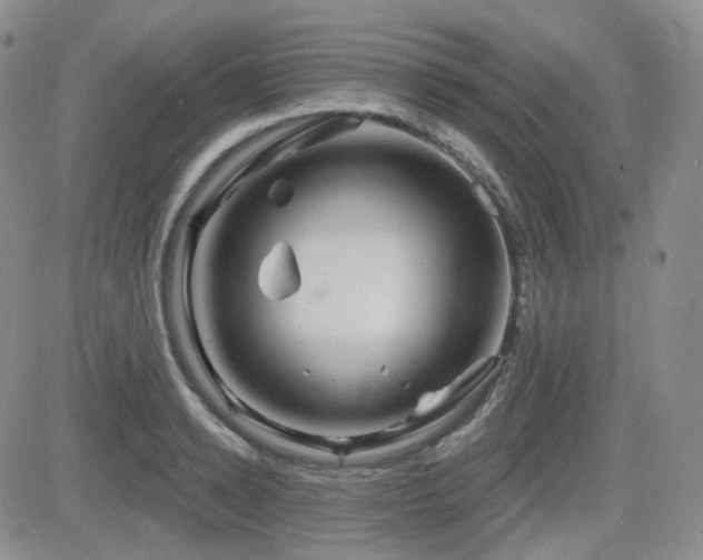 X0000084520942200702231131