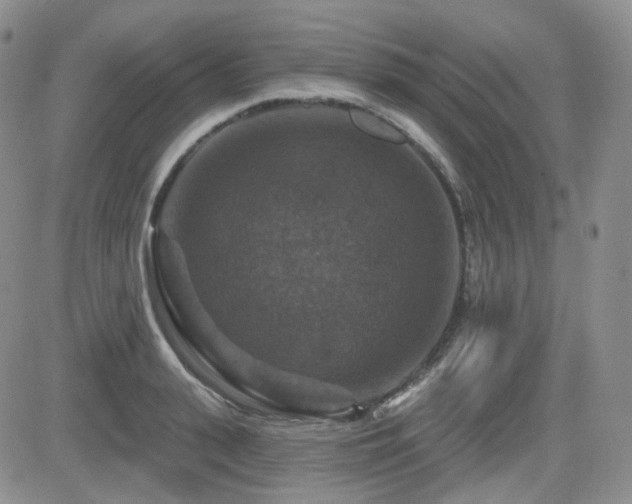 X0000084520943200702231131