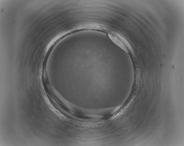 X0000084520944200702231131