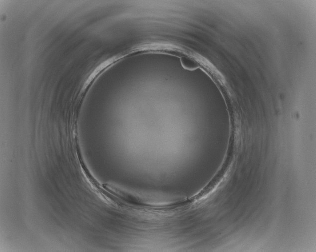 X0000084520945200702231131