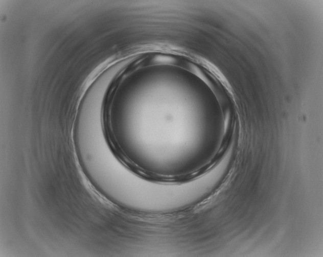 X0000084520946200702231131