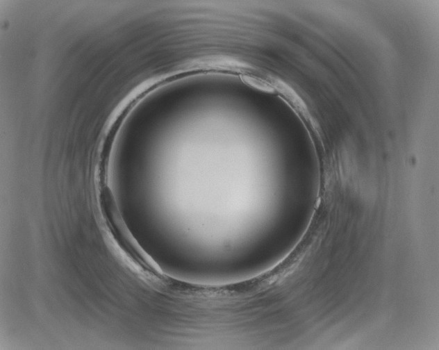 X0000084520947200702231131