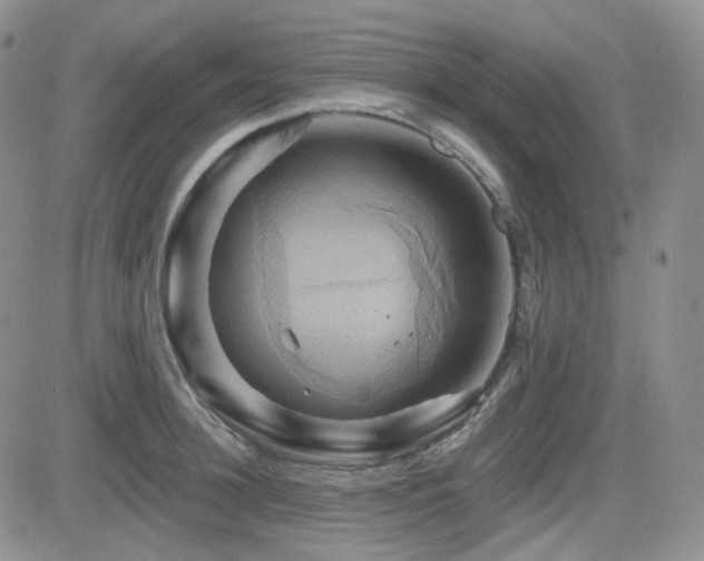 X0000084520948200702231131