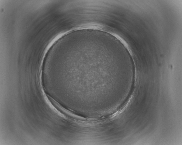 X0000084520949200702231131