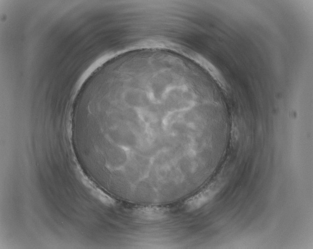 X0000084520950200702231131