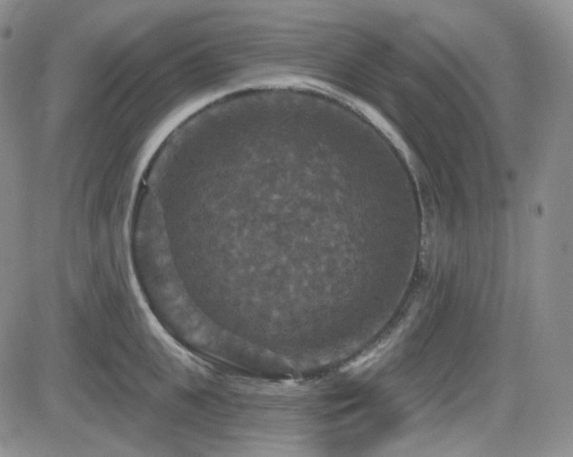 X0000084520951200702231131