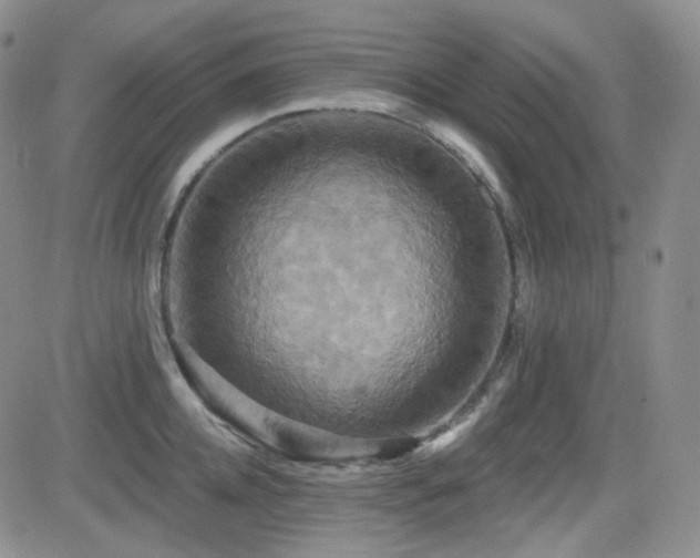 X0000084520952200702231131