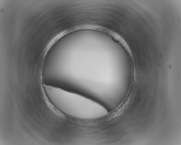 X0000084520954200702231131