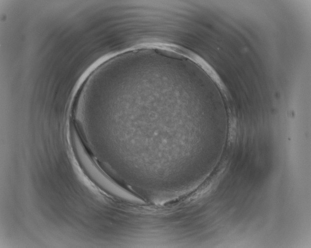 X0000084520955200702231131