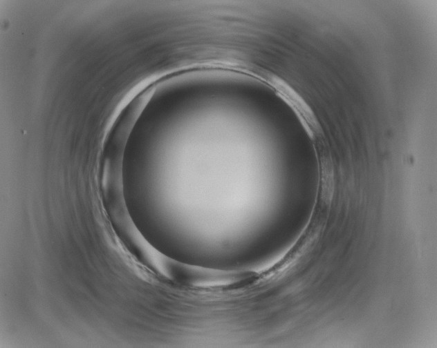 X0000084520956200702231131