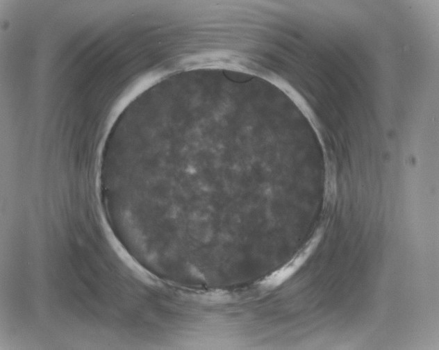 X0000084520957200702231131