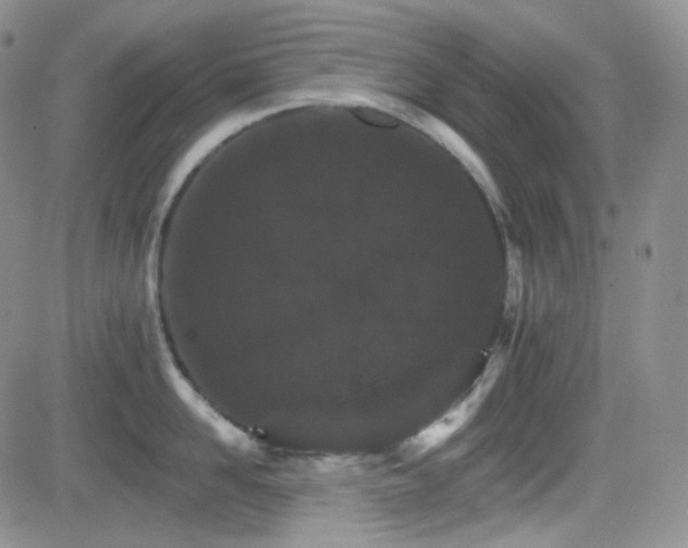 X0000084520958200702231131