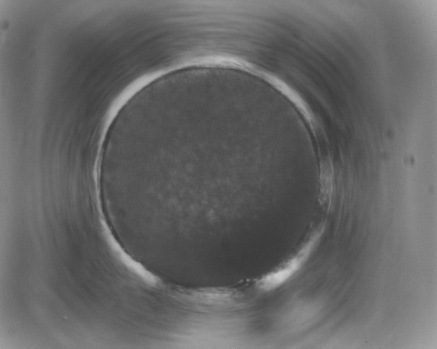 X0000084520959200702231131