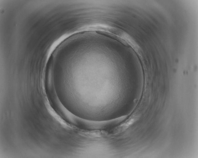 X0000084520960200702231131