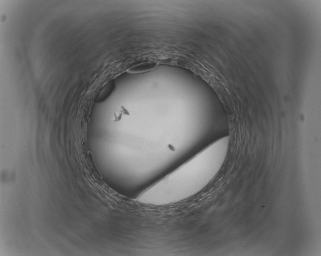 X0000084520961200702231130