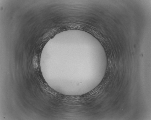 X0000084520962200702231130