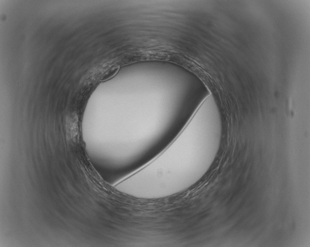 X0000084520963200702231130