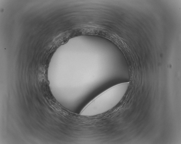 X0000084520964200702231130