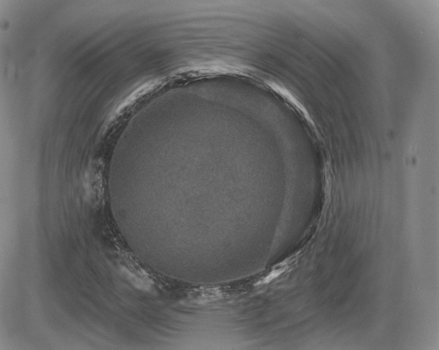 X0000084520968200702231130