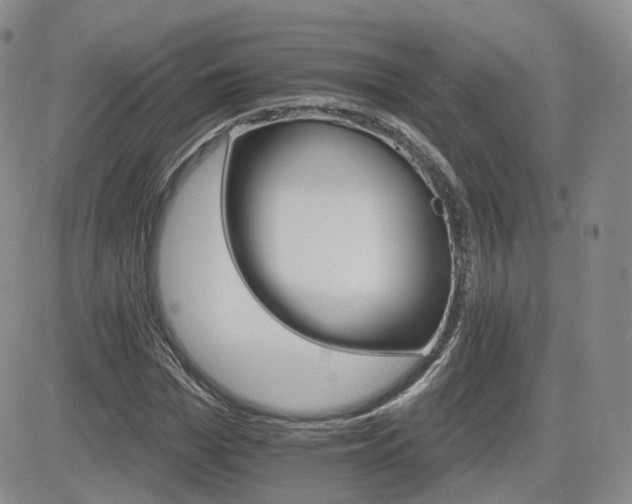 X0000084520969200702231130