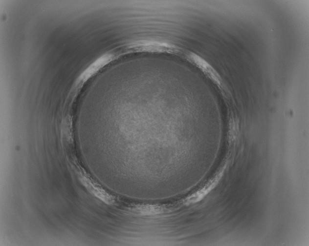 X0000084520970200702231130