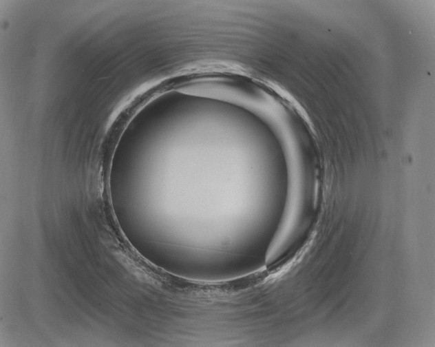 X0000084520973200702231130