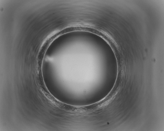 X0000084520974200702231130