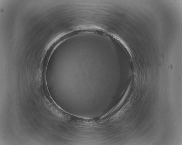 X0000084520975200702231130